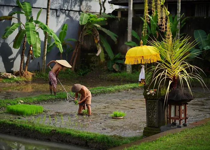 Villa Umae Ubud
